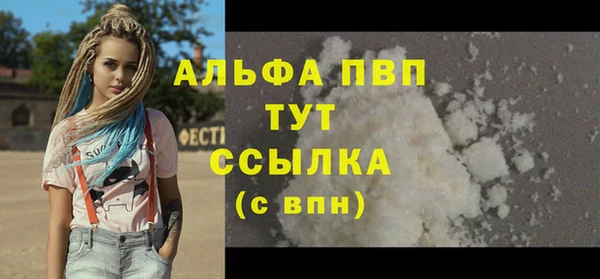 прущие грибы Наволоки