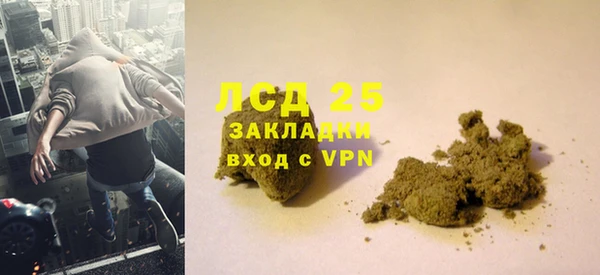 прущие грибы Наволоки