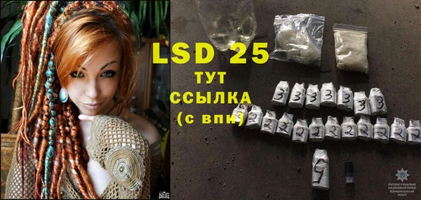 прущие грибы Наволоки