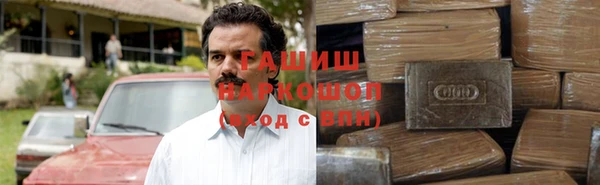 прущие грибы Наволоки