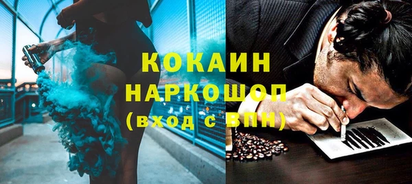 прущие грибы Наволоки