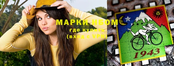 прущие грибы Наволоки