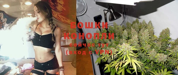 прущие грибы Наволоки