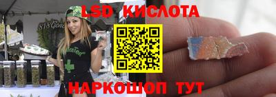 гашик Камышлов