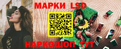 гашик Камышлов