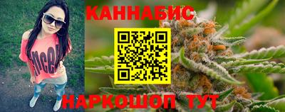гашик Камышлов