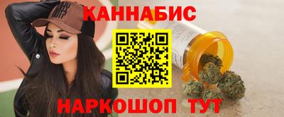 гашик Камышлов