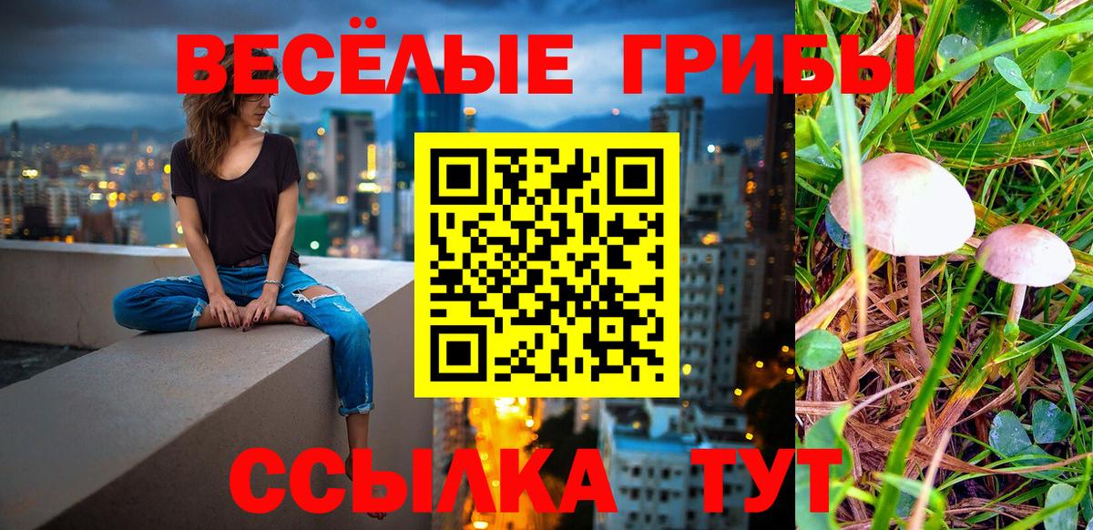 Галлюциногенные грибы мухоморы Шахты
